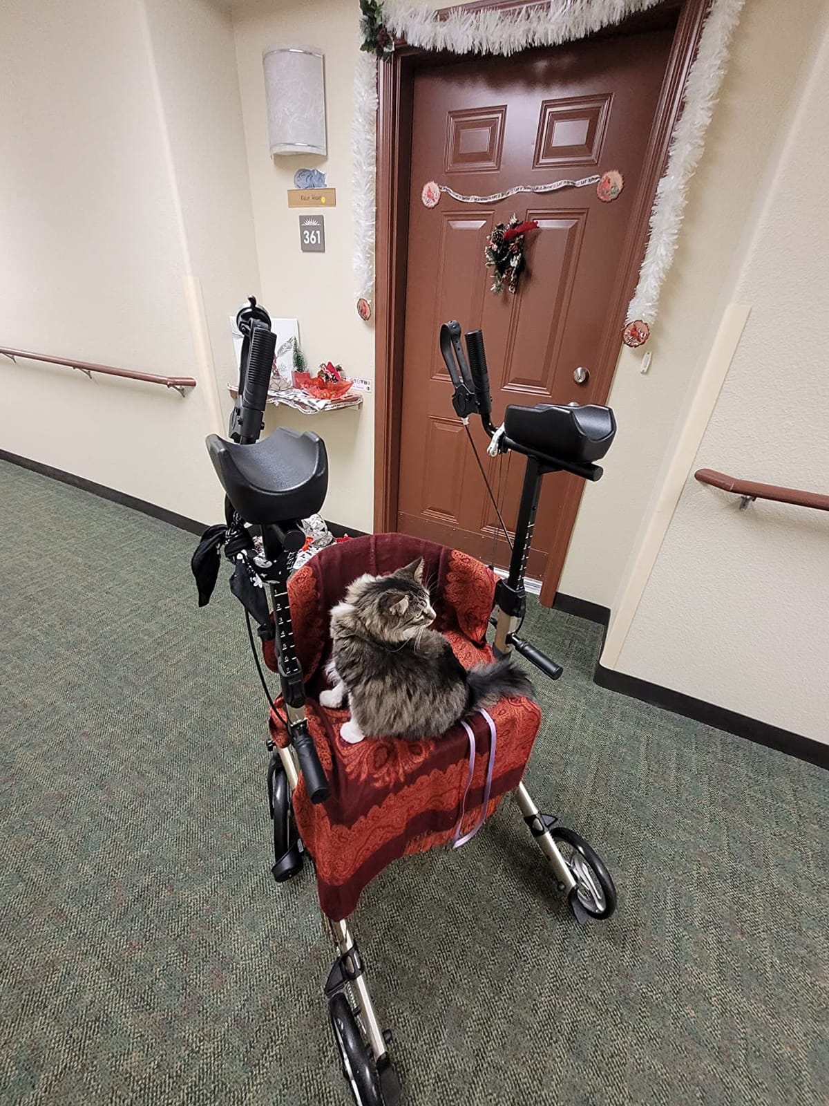 ELENKER Upright Rollator Walker, Stand up Rolling Walker with Seat, Compact Folding Design for Seniors, Purple customer photo 2