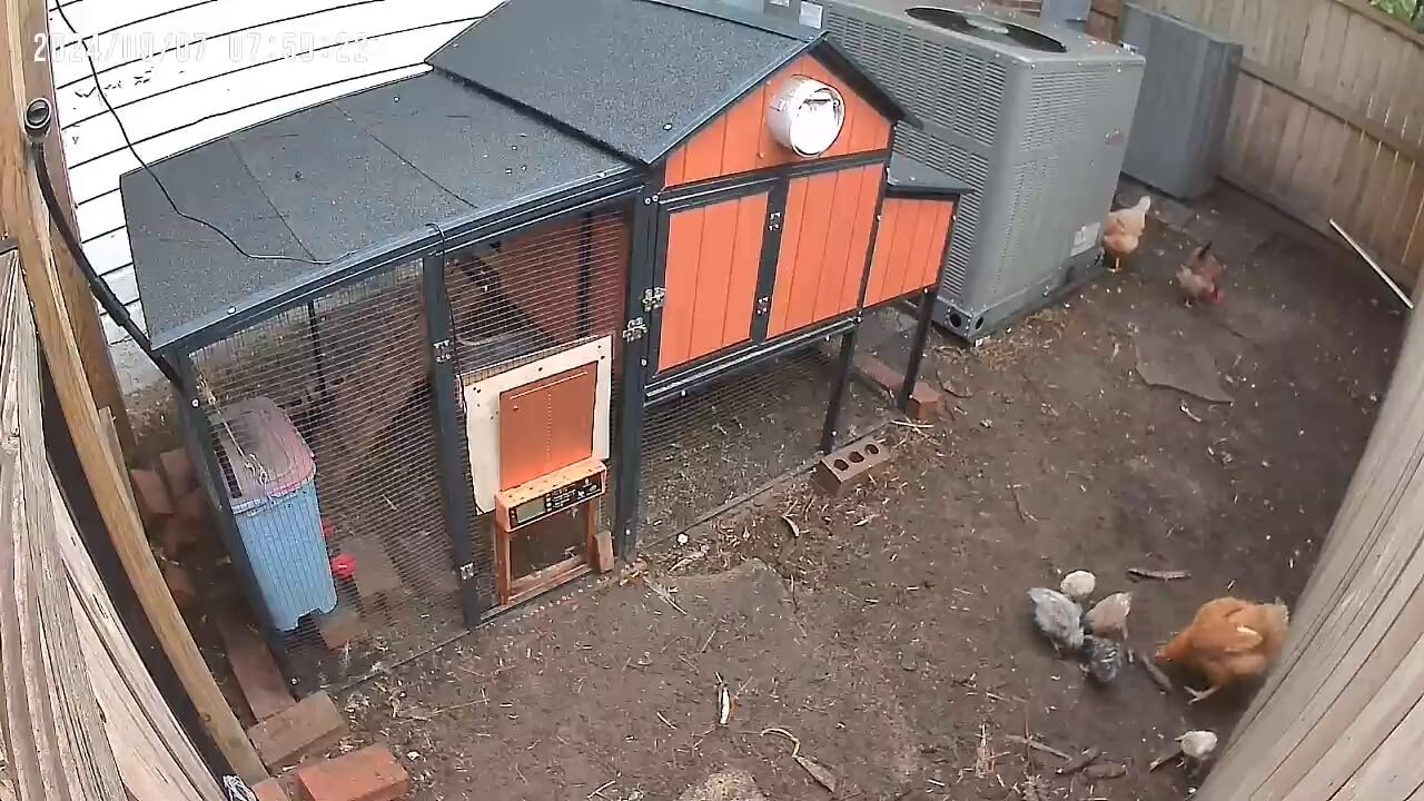 Asfrost Automatic Chicken Coop Door Solar Powered Automatic Chicken Door with Timer & Light Sensor, Anti-Pinch, Durable Aluminum Auto Chicken Door, Charge with 7W Solar Panel & USB - Orange customer photo 1