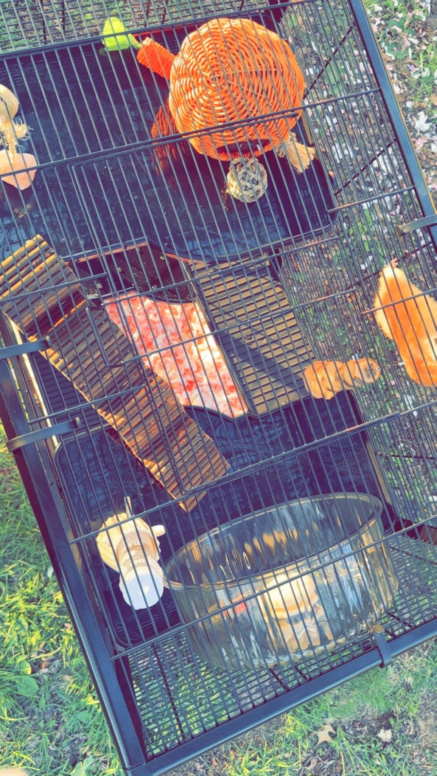 PawHut Large Hamster Cage Deep Tempered Glass Bottom 30