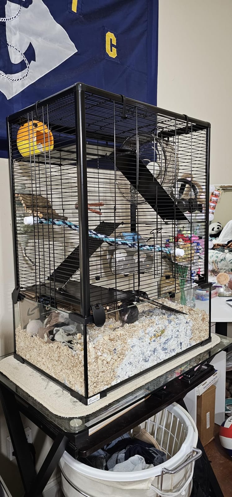 PawHut Large Hamster Cage Deep Tempered Glass Bottom 30
