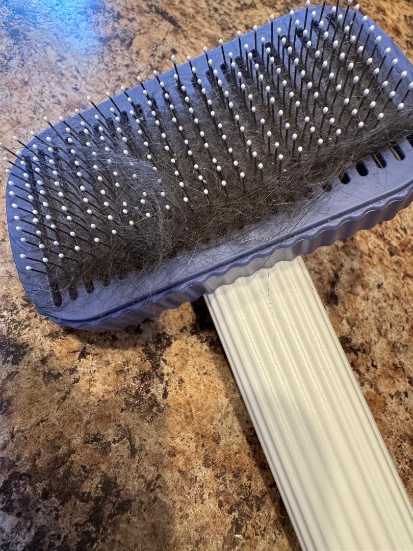 Cat brush, Cat Brush for Long or Short Haired Cats customer photo 2