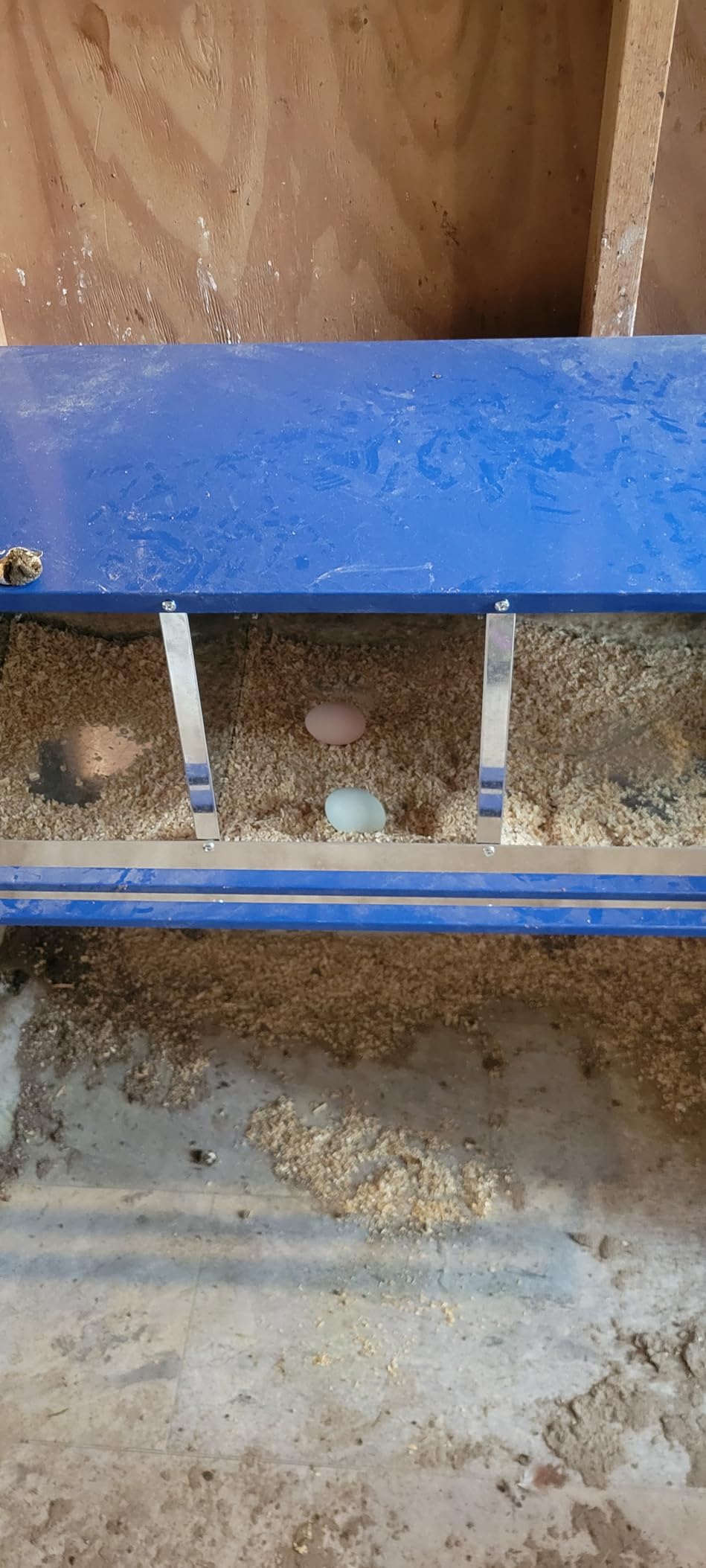 Chicken Nesting Box for Laying Eggs 3 Holes Metal Nest Box for Chicken Hens Ducks Poultry Protect Eggs Chicken Coop Easy Egg Collection Wall Mount Nest Box for Chicken Coop customer photo 1