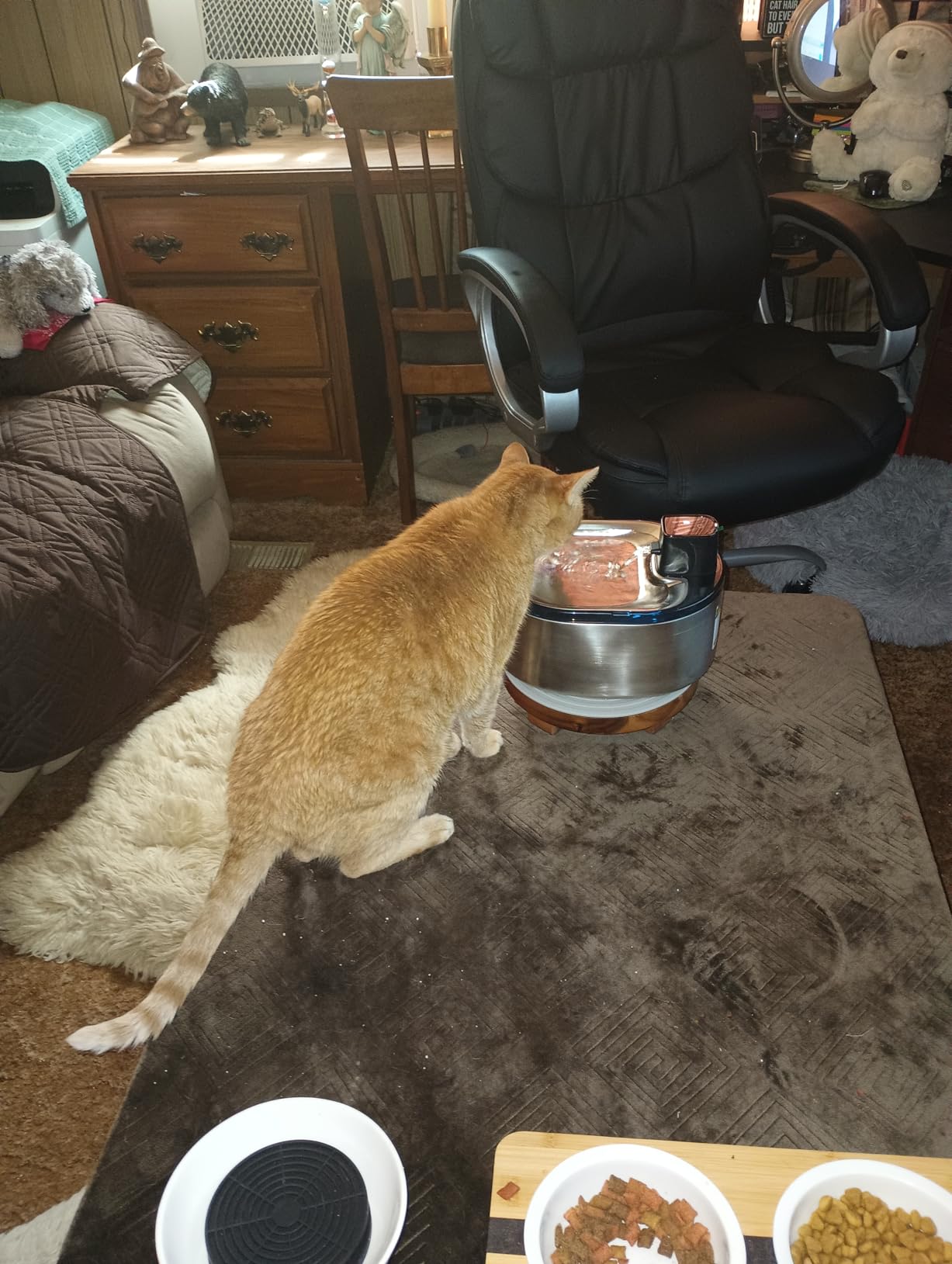 Smartoo Wireless Cat Water Fountain Stainless Steel,152oz/4.5L Cat Fountain customer photo 1