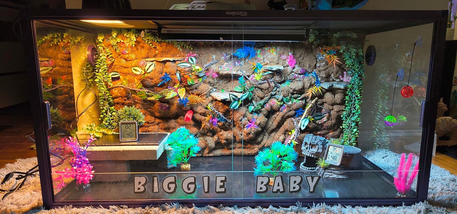Phailozoo 120 Gallon Reptile Tank, Stackable 4x2x2 Reptile Enclosure customer photo 1