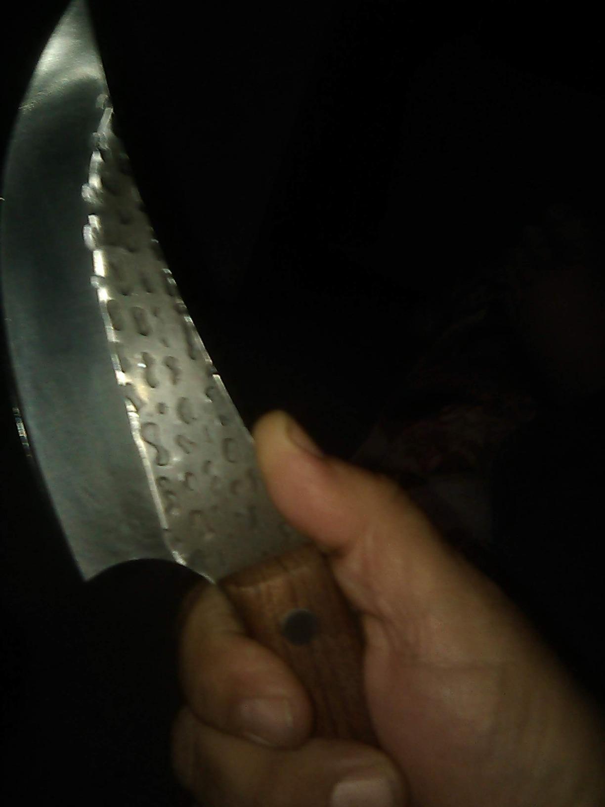 Dream Reach Meat Cleaver Knife - Heavy Duty Stainless Steel Hand Forged customer photo 1