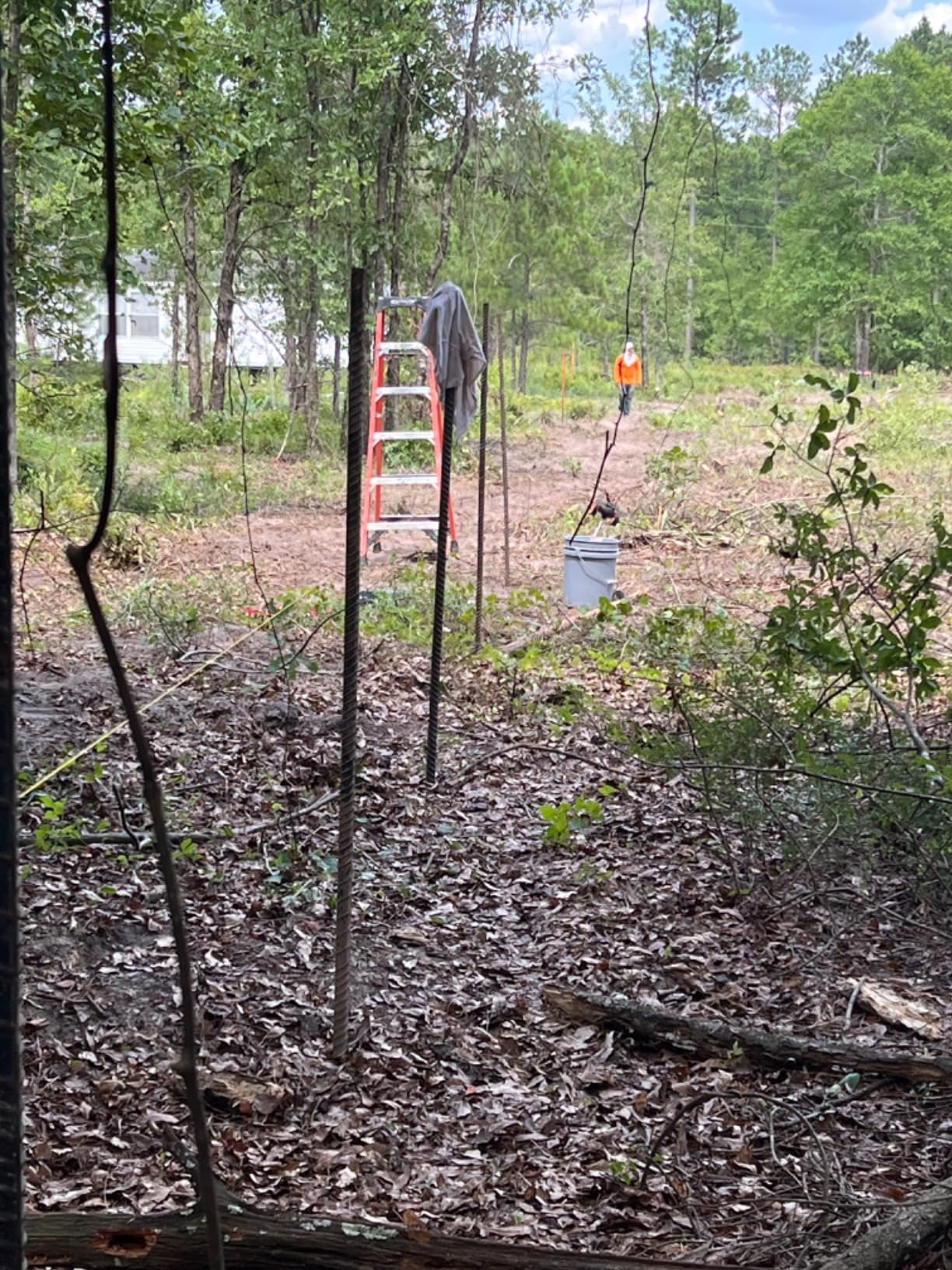 SDS Max Shank T-Post Driver for T Posts, 2 Inch Diameter Head customer photo 2