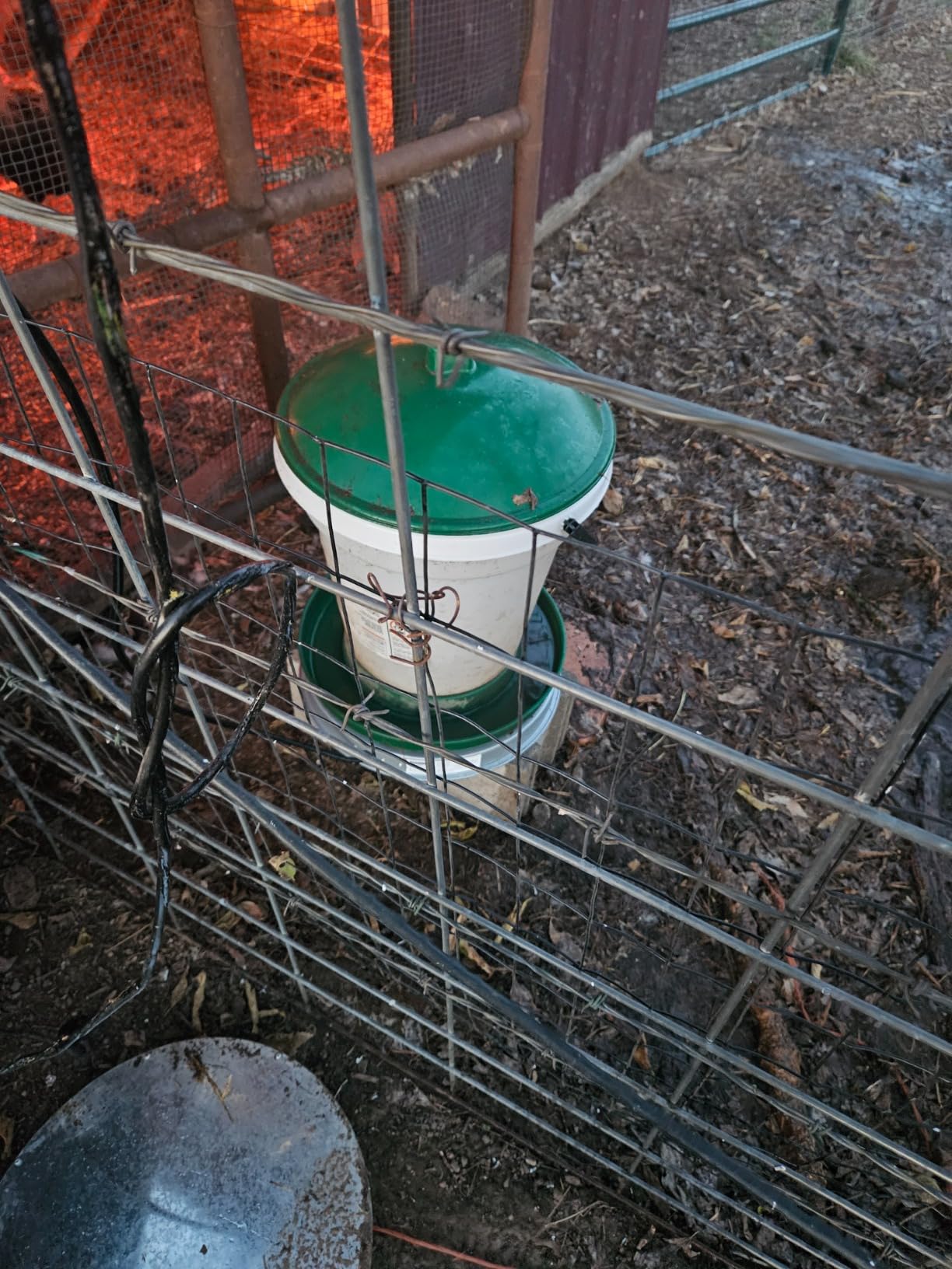 Chicken Water Heater for Winter, Heated Poultry Waterer Base,with Thermostat and 9.8ft Power Cord, Dia.11in customer photo 1