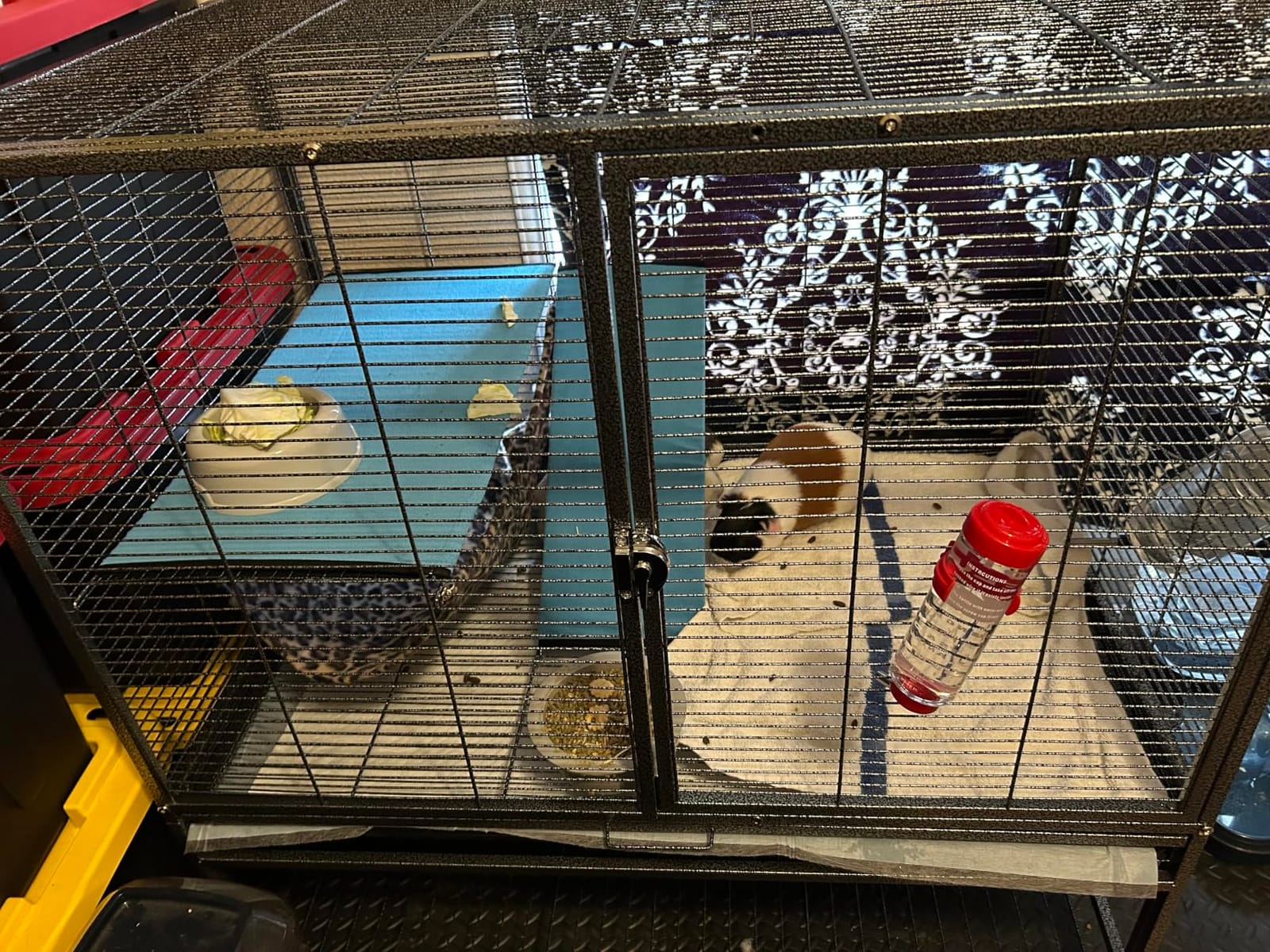 Deluxe Double Unit Two Full Story Small Animal Critter Home Rolling Cage customer photo 2