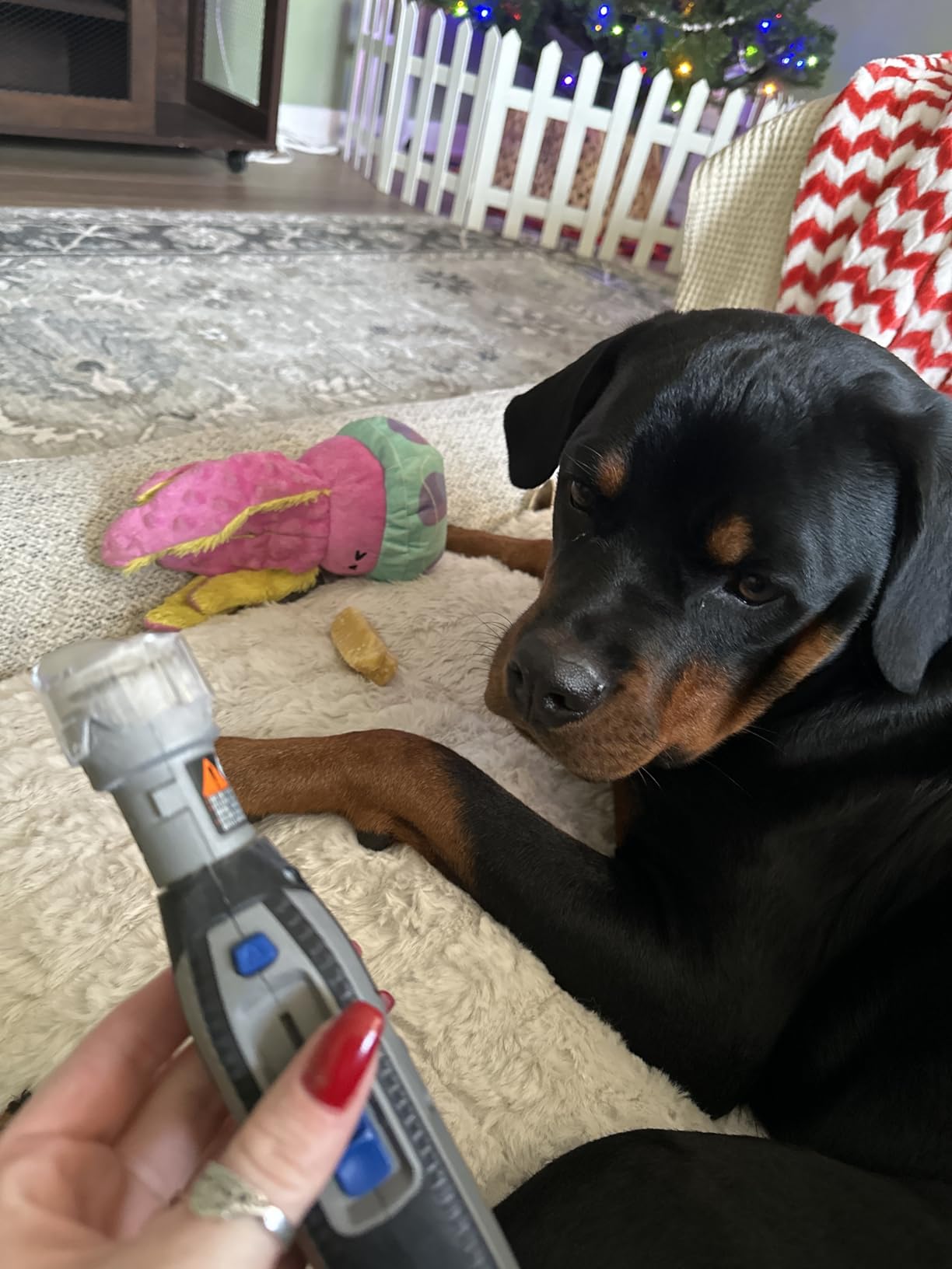 Dremel PawControl 7760-PET Dog Nail Grinder and Trimmer, Pet Grooming Kit customer photo 2