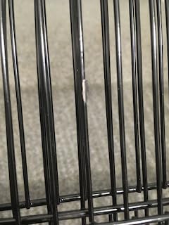 VEVOR 64-inch Open Top Large Parrot Bird Cage with Detachable Rolling Stand for Parakeets Finches Canaries Lovebirds Cockatiels Budgies Small Quaker Conures Flight Birdcage with Swing and Perch customer photo 1