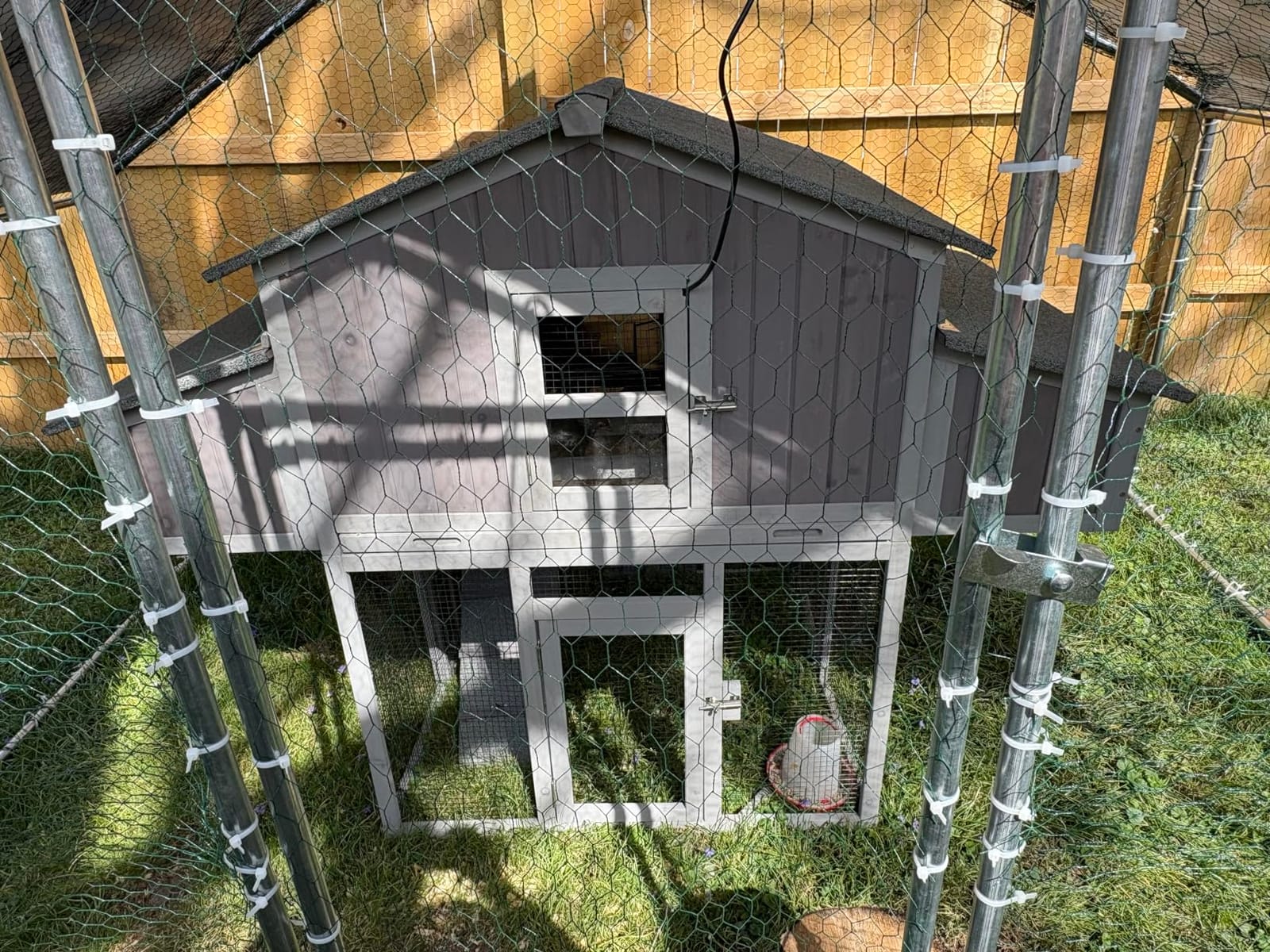 Large Chicken Coop - Unique Folding Design for Easy to Set Up - Chicken House for Outdoor with Two Nesting Box, Leakproof Pull-on Tray, and UV-Resistant Roof Panel customer photo 1