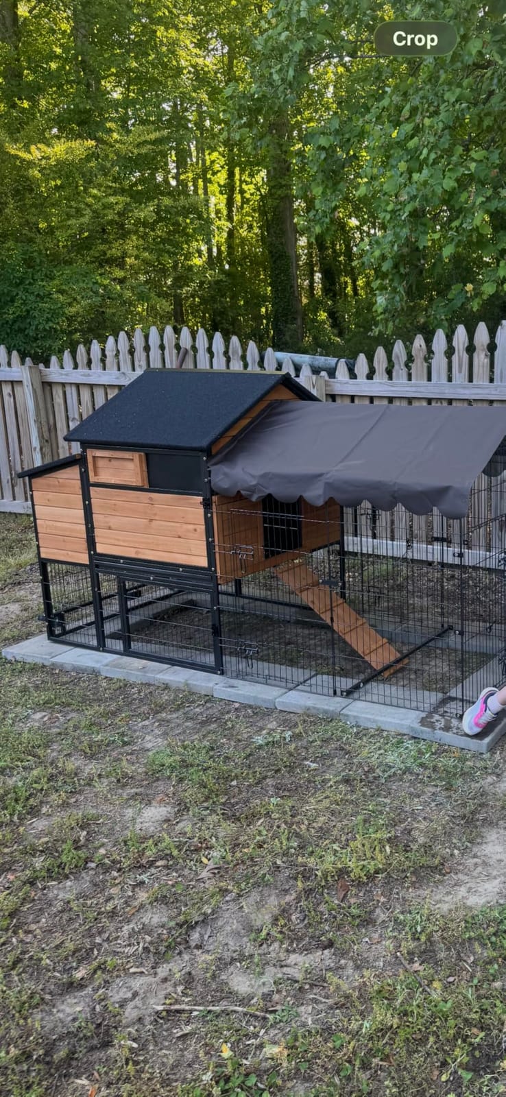 Large Chicken Coop for 6-8 Chickens,Wooden Hen House with Run,Outdoor Duck Coop with Nesting Box, Leakproof Pull-on Tray customer photo 2