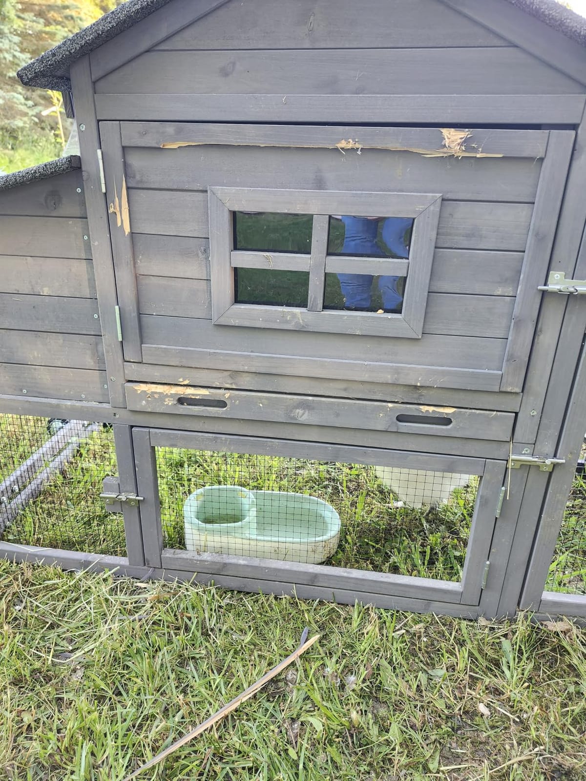 Aivituvin Chicken Coop Mobile Chicken House on Wheels, Rabbit Hutch Bunny Cage Expandable Wooden Poultry Cage with Large Nesting Box Leakproof Pull-Out Tray,UV-Resistant Roof (Red, AIR32) customer photo 2