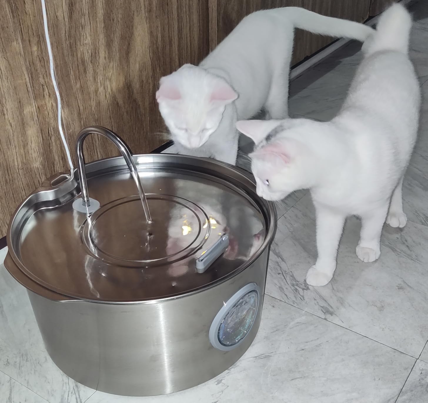 Dog Water Fountain for Large Dogs: Stainless Steel Dog Fountain Water Bowl customer photo 2