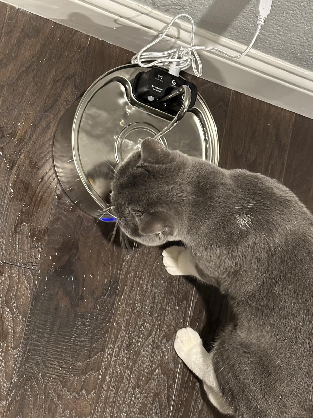 Tomxcute Wireless Cat Fountain 10 Filters -108oz Cordless Battery Operated customer photo 2