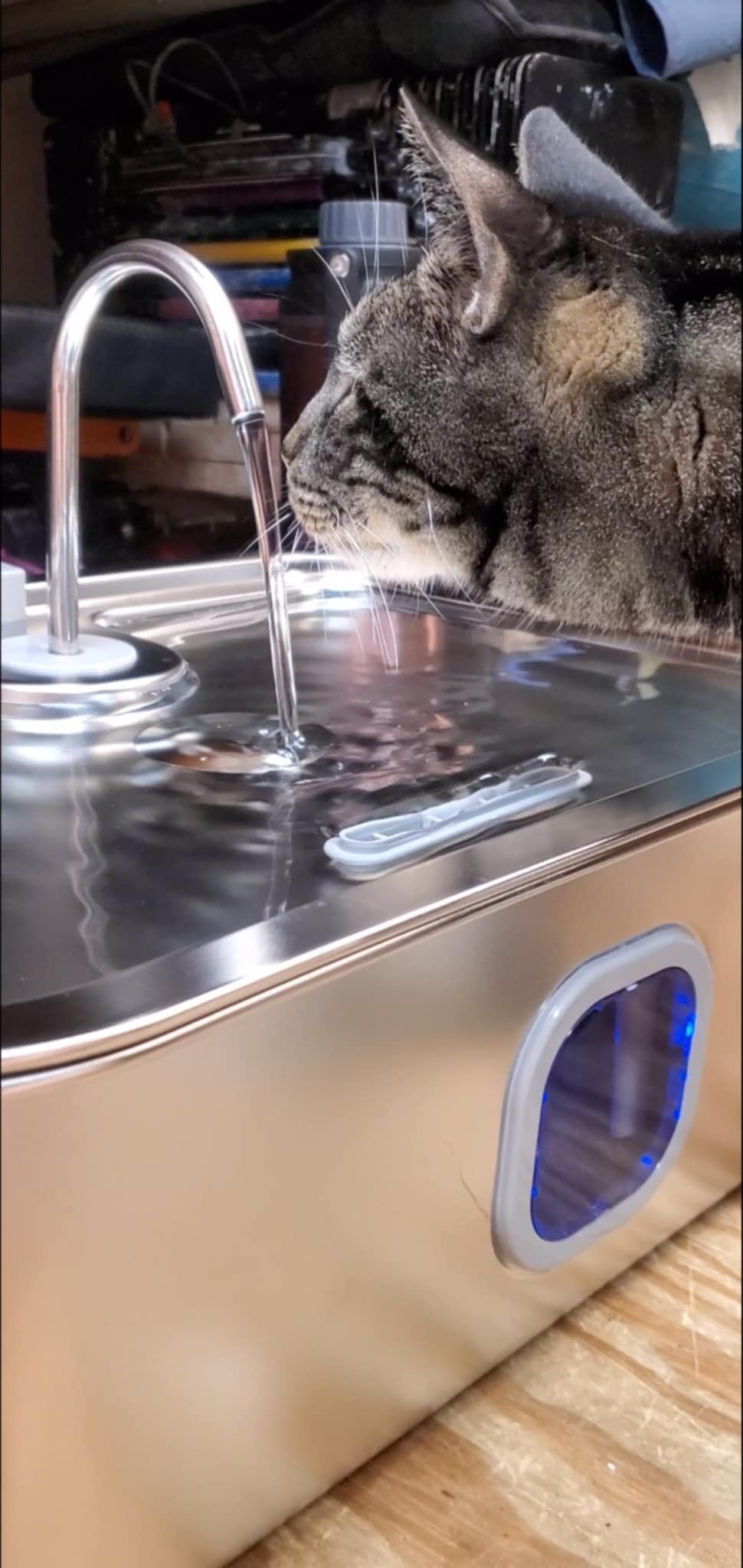 4.2Gal Dog Water Fountain for Large Dogs, 16L Stainless Steel Large Dog Fountain Water Bowl with Deeper & Wider Drinking Tray, Automatic Pet Water Dispenser with Visible Window for Multi-Pets Families customer photo 1