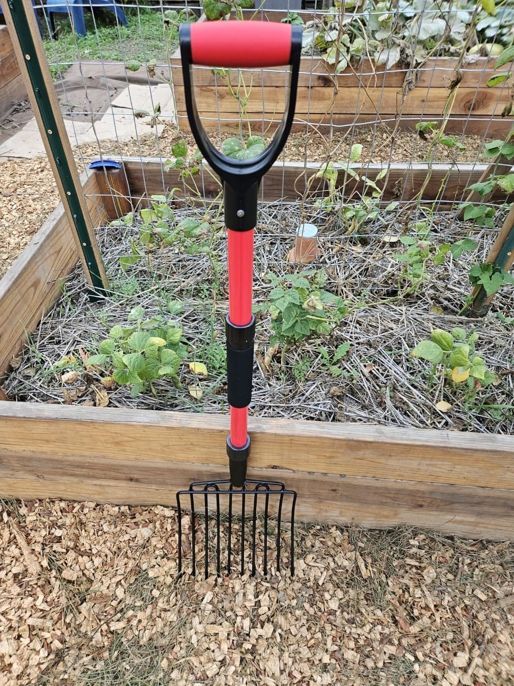 COSITA Pitch Fork for Garden, Wide Pitchfork with 10 Metal Tines, Heavy Duty Garden Fork with Fiberglass Handle 44-Inches, Chicken Coop Pitchforks for Manure, Mulching, Composting, Red customer photo 2