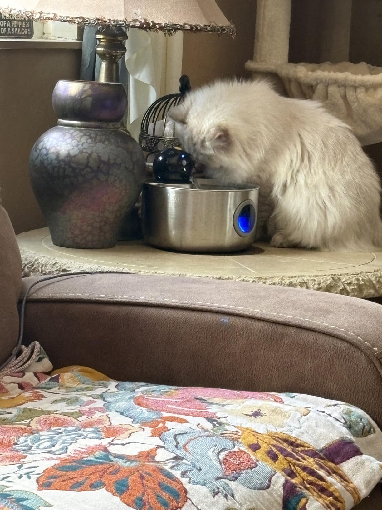 Wireless Cat Water Fountain Cordless: Battery Operated Cat Fountains customer photo 1