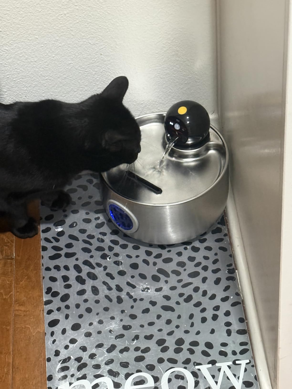 Wireless Cat Water Fountain Cordless: Battery Operated Cat Fountains customer photo 2