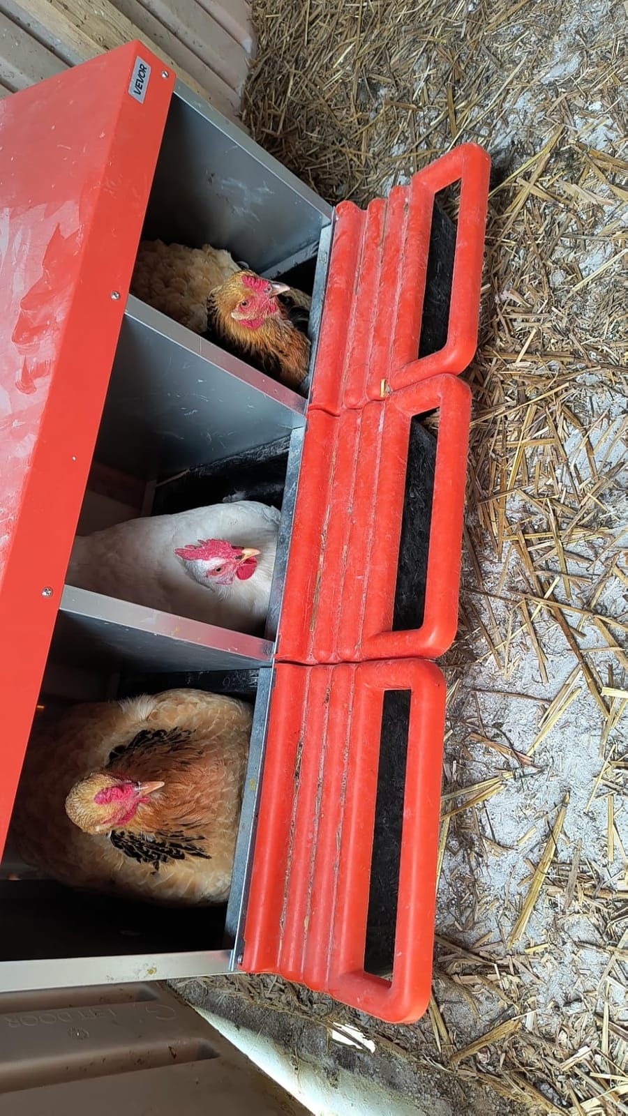 VEVOR 2 Tiers Chicken Nesting Boxes, 8 Compartments, Metal Egg Laying Boxes with Protective Collection Lids, Roll Out Nesting Box, Easy to Assemble, Ideal for Hens, Ducks, Chickens, and Other Poultry customer photo 2