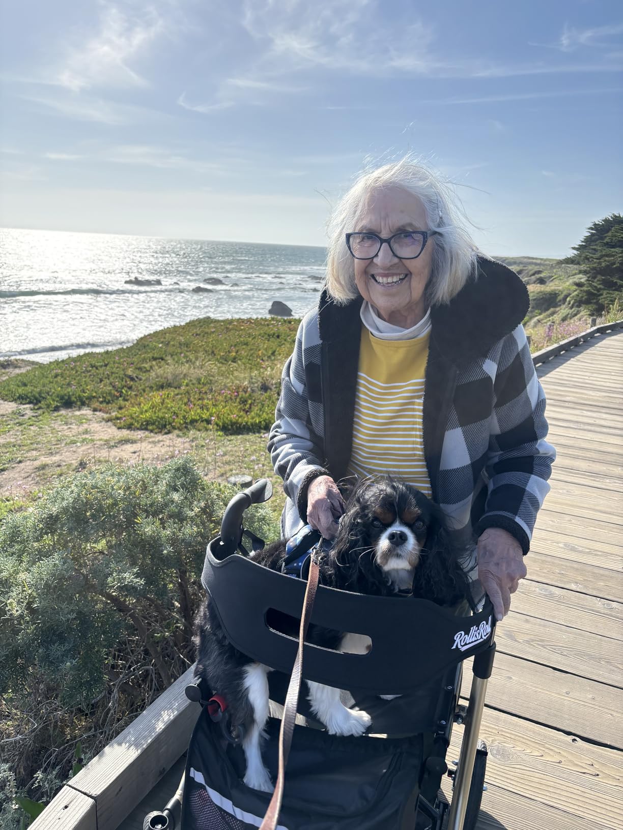 Walkers for Seniors with Seat, Foldable Rollator Walker, Reinforced Aluminum Frame, 10