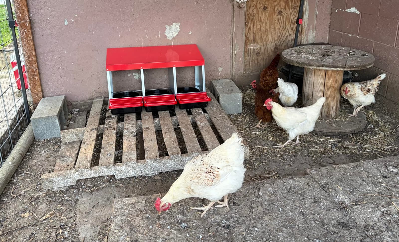ZenxyHoC Two-Tier Chicken Nesting Box Red 6 Compartments customer photo 1