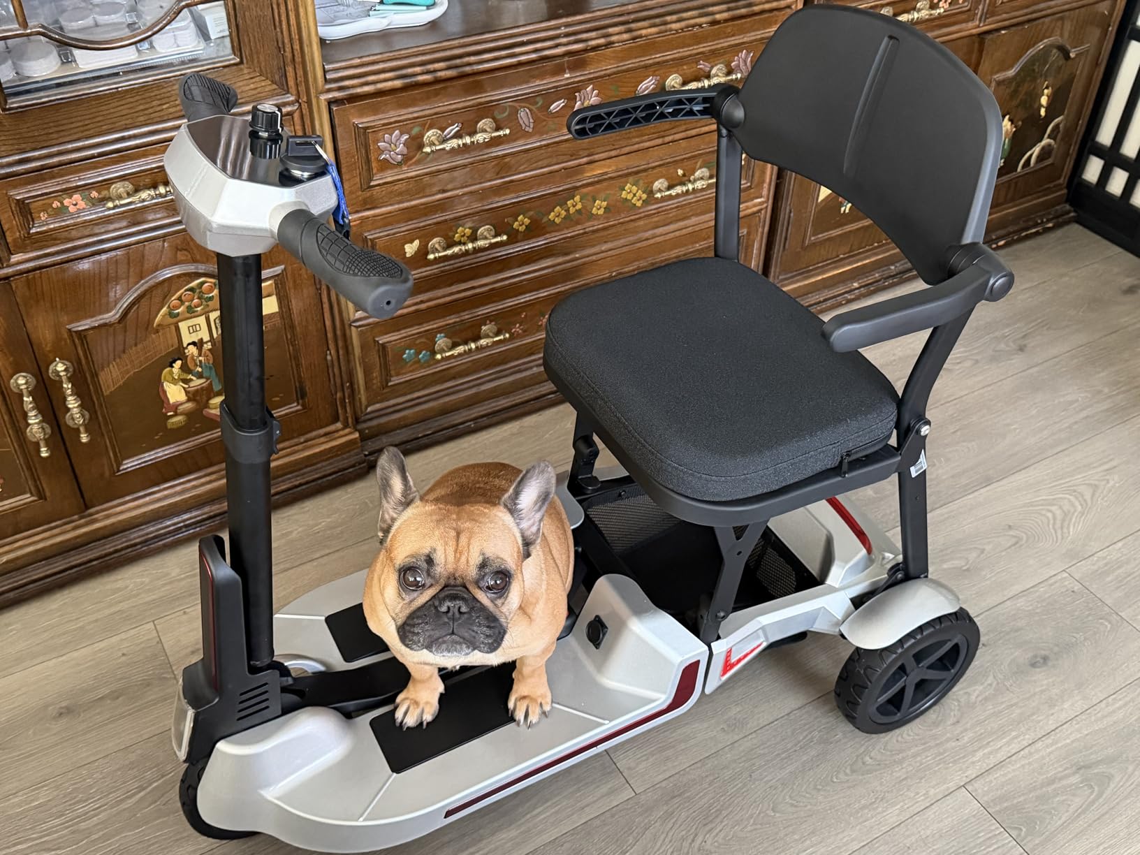 Light Weight Mobility Scooter for Adults, 3 Wheel Mobility Scooter customer photo 2