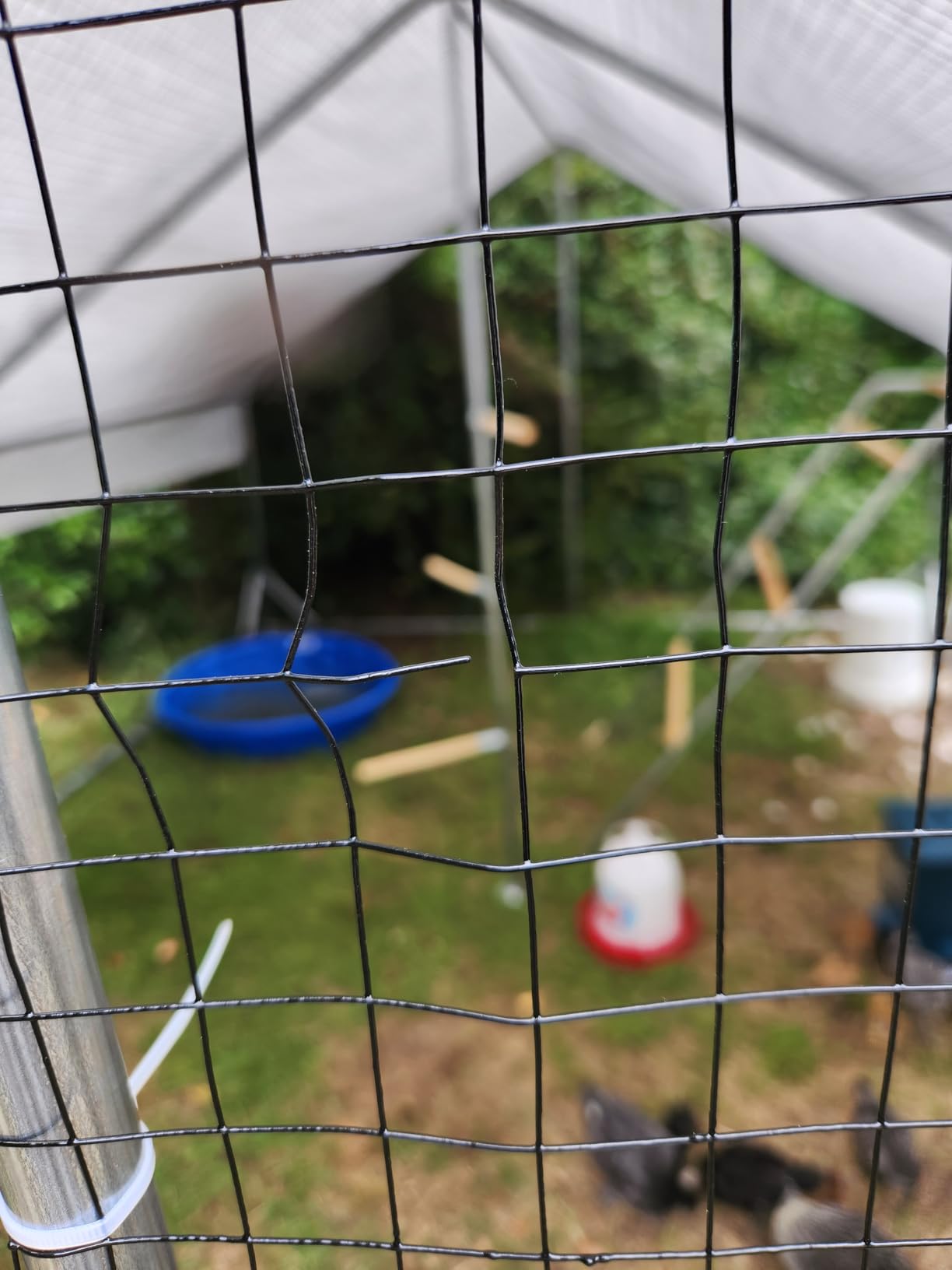 Metal Chicken Coop with Hardware Cloth, Walk-in Poultry Cage for Hen Duck customer photo 2