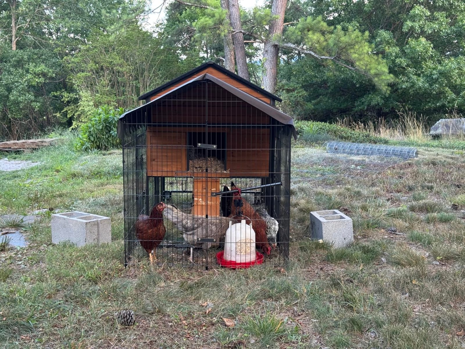 Large Chicken Coop for 6-8 Chickens, Mobile Chicken Tractor with Wheels and Sturdy Metal Frame, Nesting Box and Pull-Out Tray, Weatherproof Hen House for Backyard Farm Garden, Easy to Clean & Assemble customer photo 1