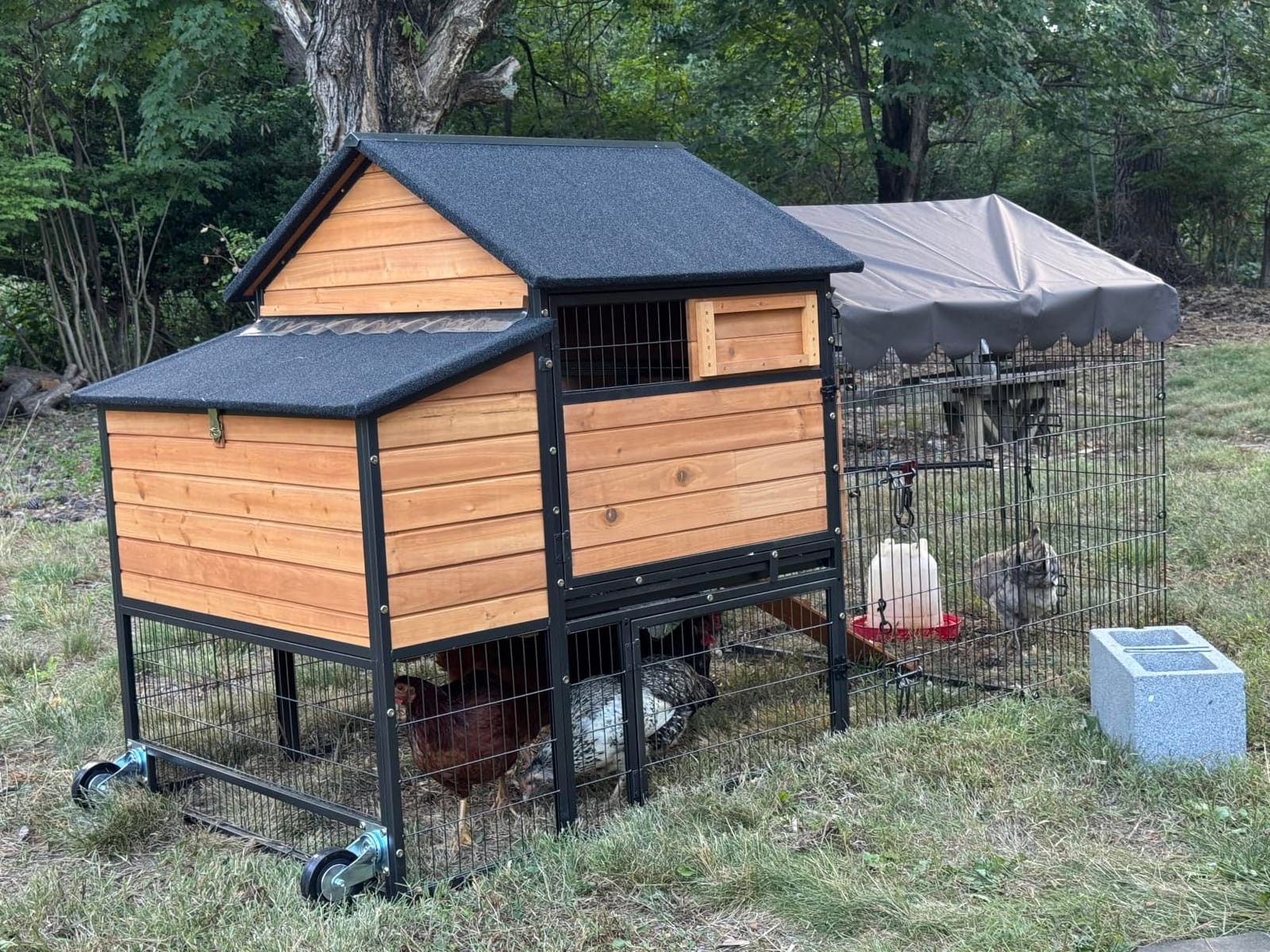 Large Chicken Coop for 6-8 Chickens, Mobile Chicken Tractor with Wheels and Sturdy Metal Frame, Nesting Box and Pull-Out Tray, Weatherproof Hen House for Backyard Farm Garden, Easy to Clean & Assemble customer photo 2