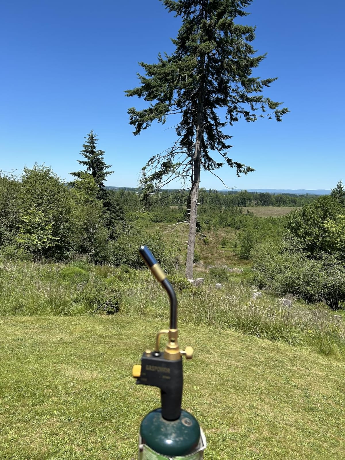 High Intensity Propane Torch Head Fuel by Propane, MAPP, Turbo Gas Torch Kit, Welding Torch, Trigger Start Mapp Gas Torch Kit with Igniter,Propane Torch,Blow Torch(Fuel Not Included) customer photo 2