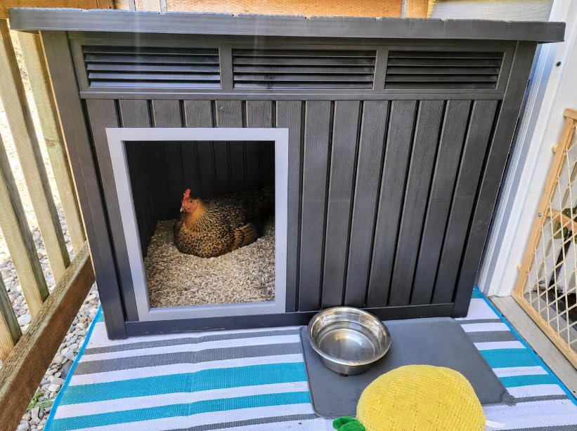 Duck Coop with Hydraulic Air Rod, Resin Duck House, Black customer photo 1