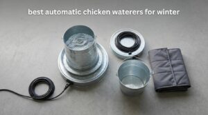 best automatic chicken waterers for winter