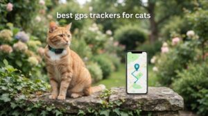 best gps trackers for cats
